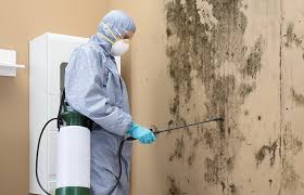 Spring Hill, TN Mold Remediation Company